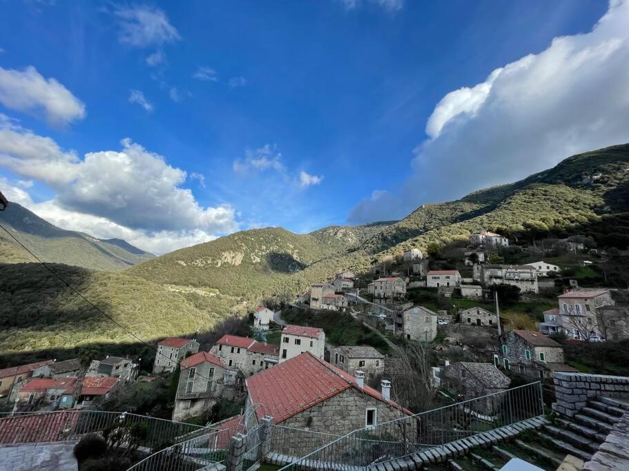 Casa Arena Authentique Maison De Village Avec Piscine Au Coeur De L'Alta Rocca - Zoza Εξωτερικό φωτογραφία