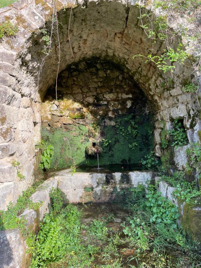 Casa Arena Authentique Maison De Village Avec Piscine Au Coeur De L'Alta Rocca - Zoza Εξωτερικό φωτογραφία