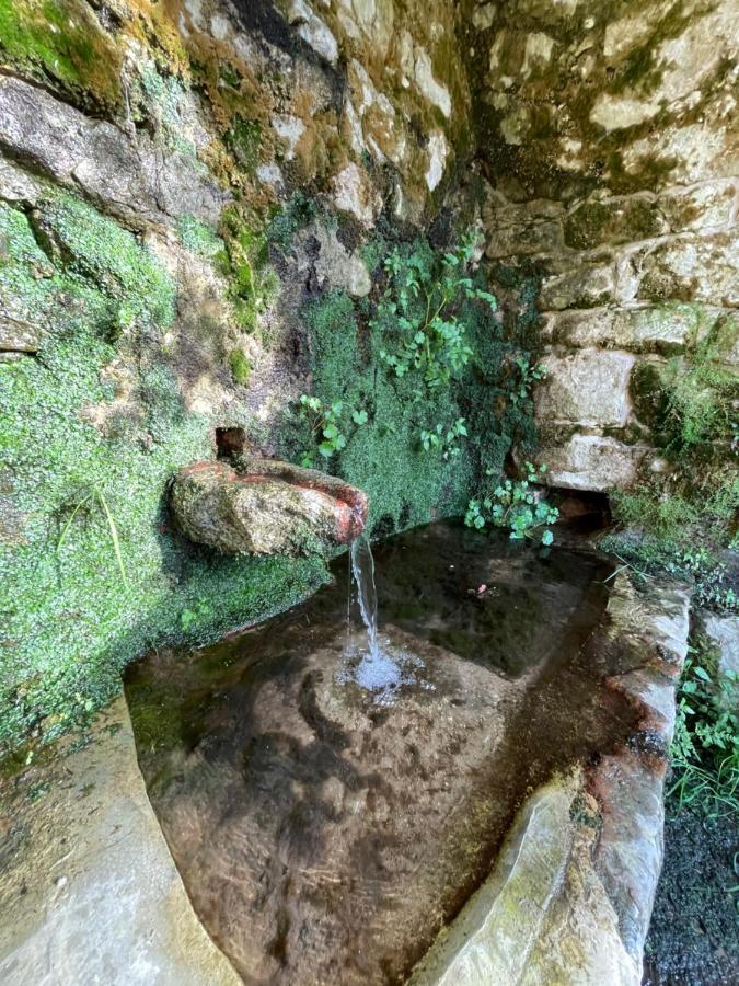 Casa Arena Authentique Maison De Village Avec Piscine Au Coeur De L'Alta Rocca - Zoza Εξωτερικό φωτογραφία
